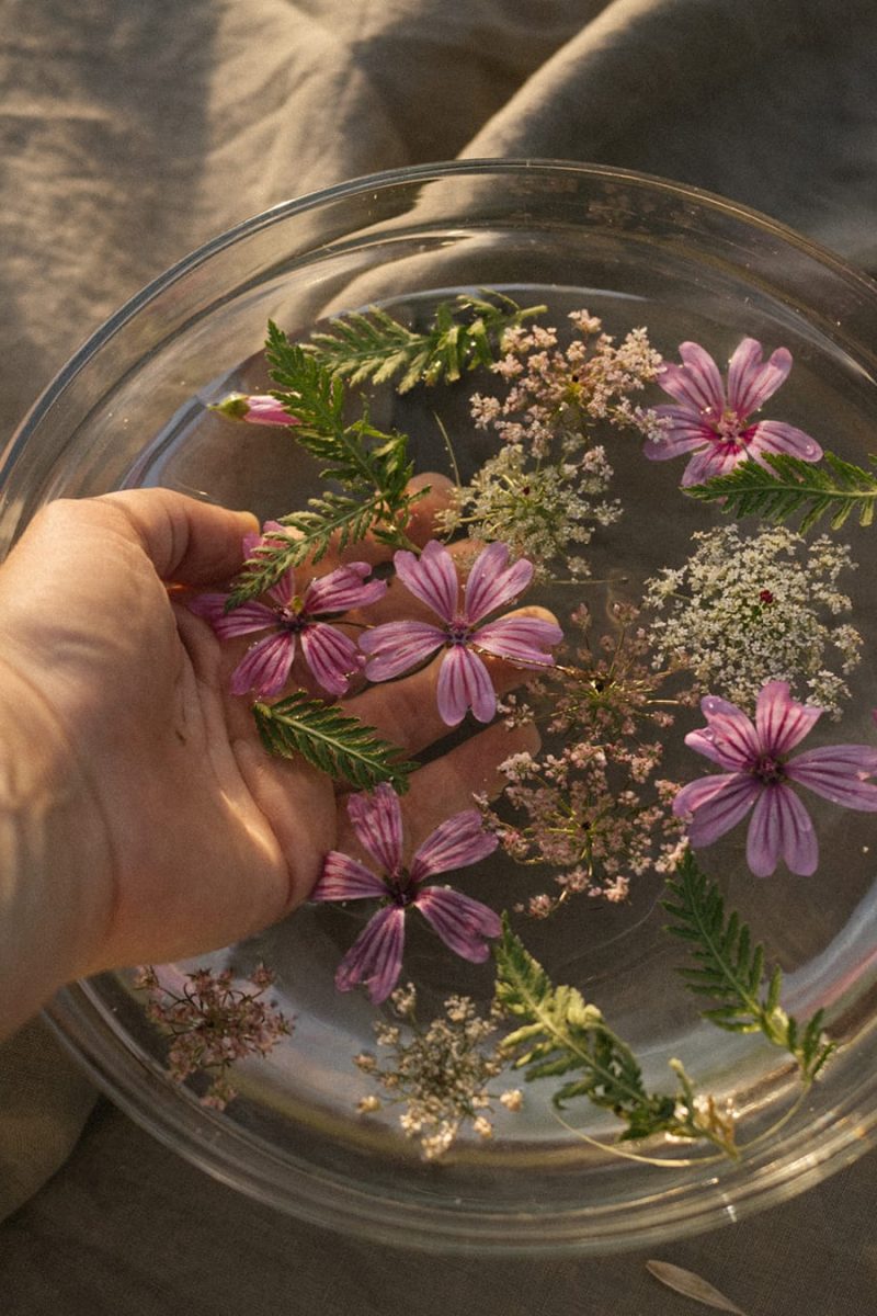 9363e993-ce47-4f42-81a0-25afcaf156ea